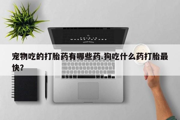 网上怎么购买打胎药联系方式宠物吃的打胎药有哪些药.狗吃什么药打胎最快？