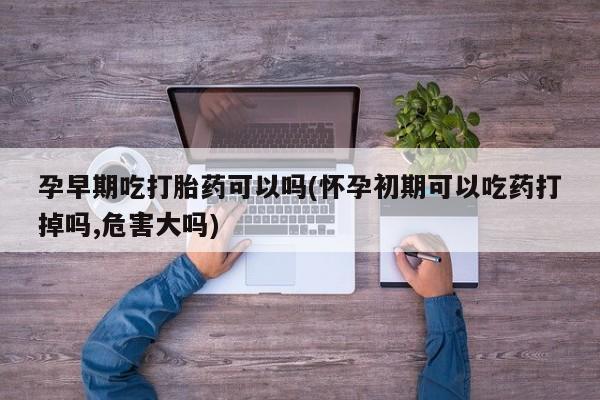 网上怎么购买打胎药联系方式孕早期吃打胎药可以吗(怀孕初期可以吃药打掉吗,危害大吗)