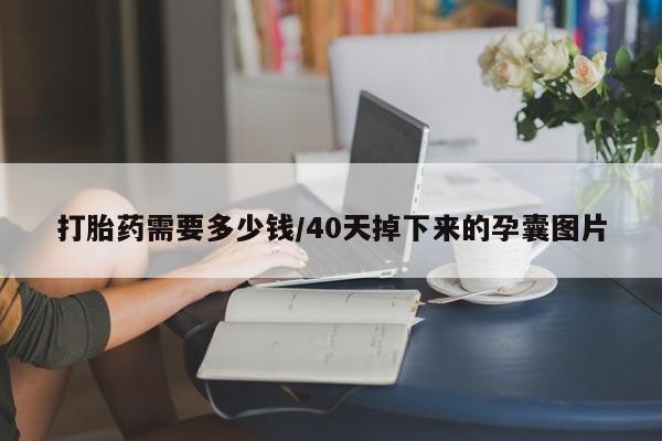 网上怎么购买打胎药联系方式打胎药需要多少钱/40天掉下来的孕囊图片
